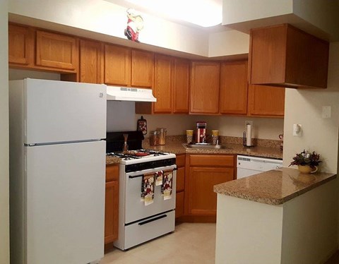 A kitchen with a white refrigerator and wooden cabinets.