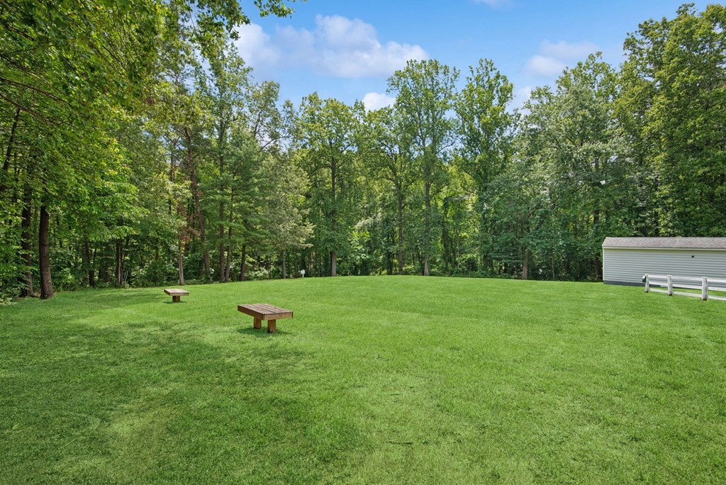 A green grass field with a bench and trees in the background.