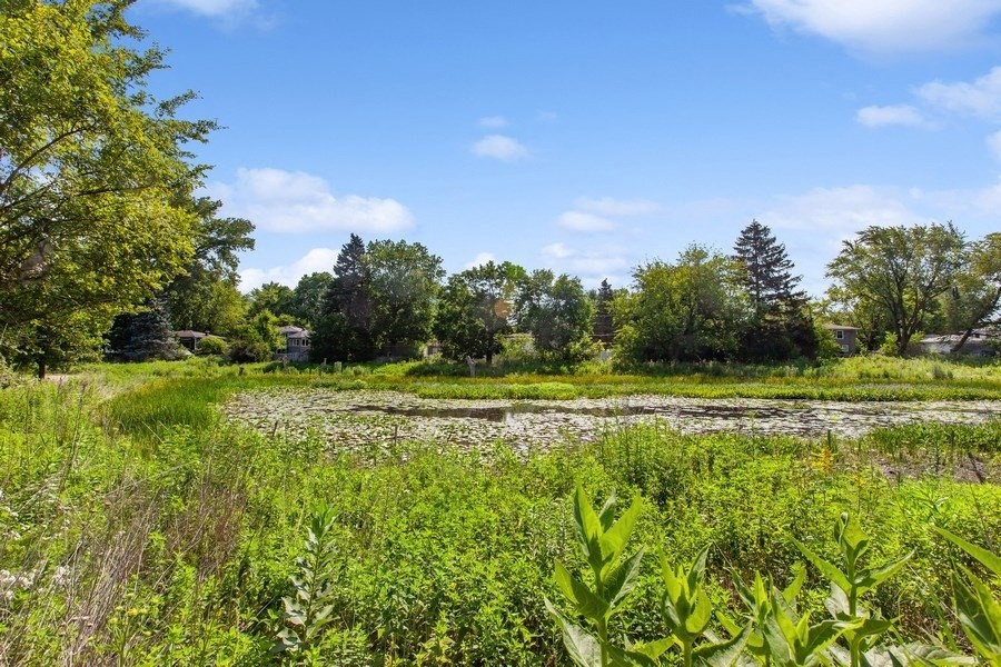 a wetland with trees in the background and a blue sky in the foreground