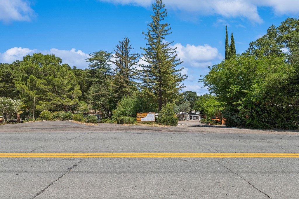 A parking lot with a yellow line in the middle and trees in the background.