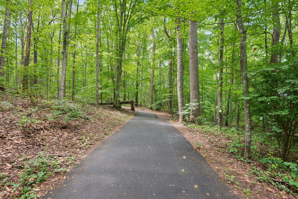 A paved trail winds through a forest of tall trees.