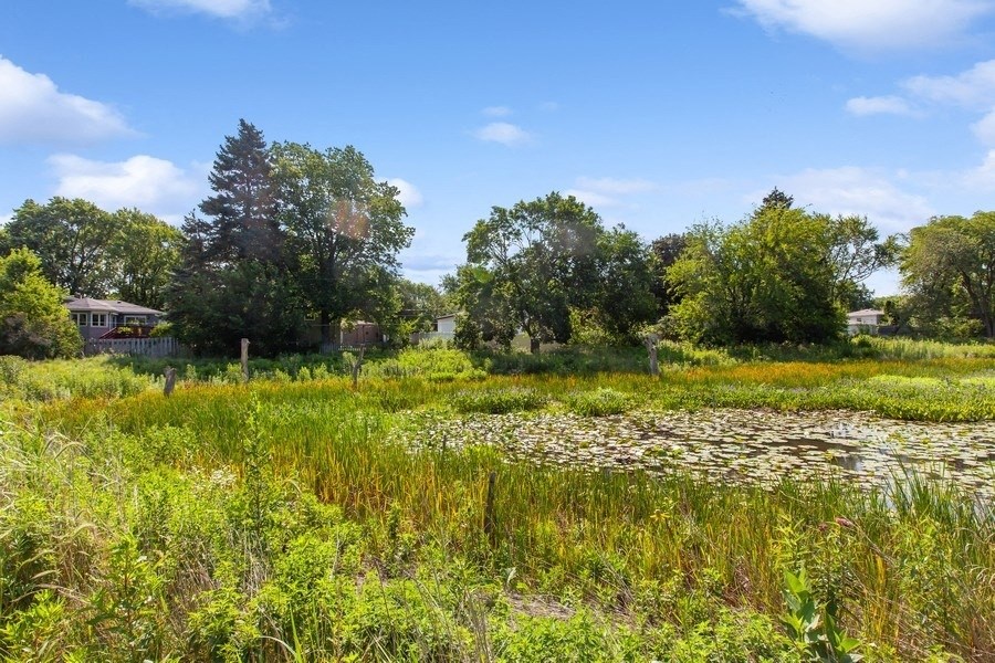 a grassy area with a lily pond in the foreground and a house in the background