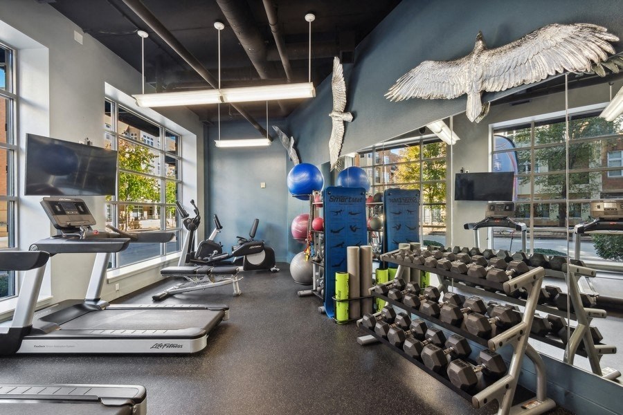 a gym with weights and a treadmill