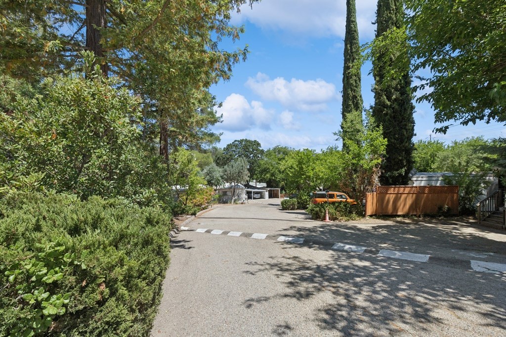 A tree-lined street with a car parked on the side.