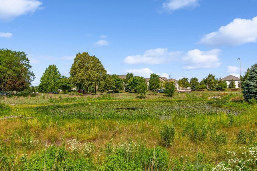 a grassy field with trees in the background