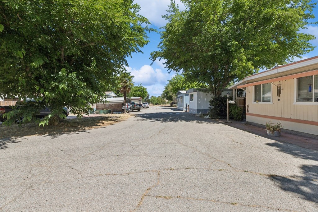 A tree-lined street with a house on the right.