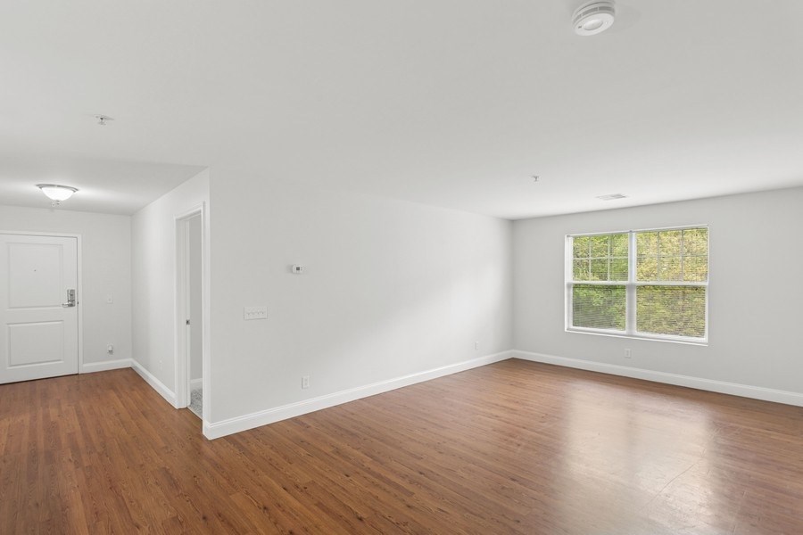 A room with wooden floors and a window showing greenery outside.