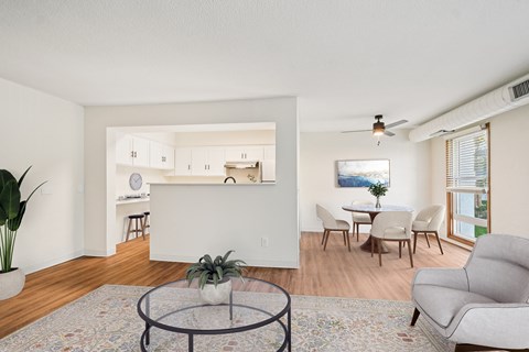A living room with a grey couch, a coffee table, and a dining table with chairs.