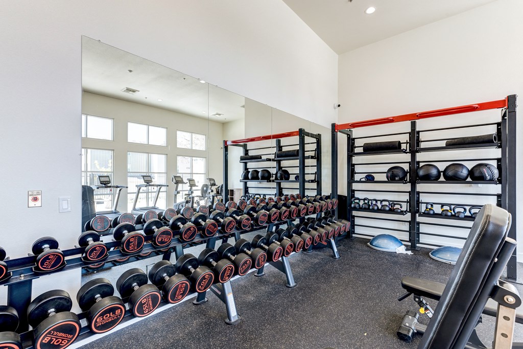 A gym with a row of dumbbells and weight plates.
