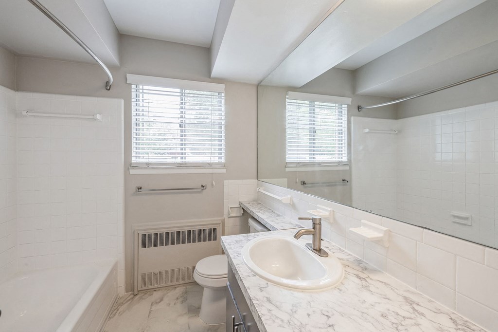 a bathroom with a sink and a toilet and a bath tub