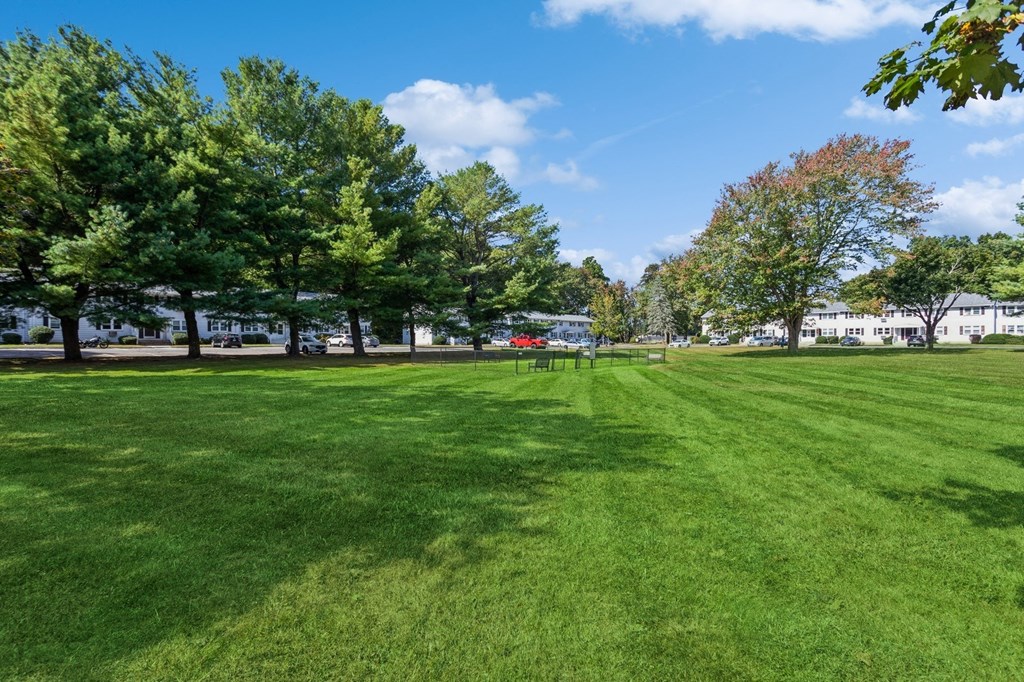 a large grassy park with trees and buildings in the background at Fox Hill Commons, Vernon, CT, 06066