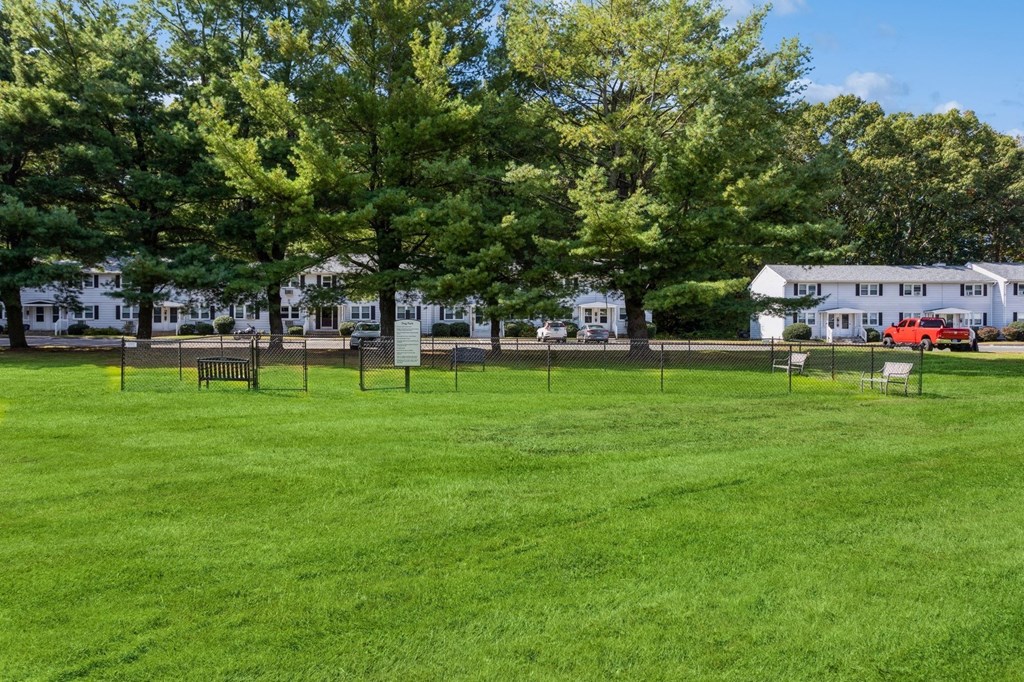 open park with pretty scenery and tall trees at Fox Hill Commons, Connecticut
