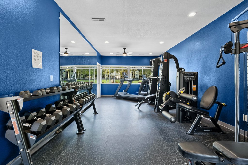 A gym with blue walls and a variety of equipment.