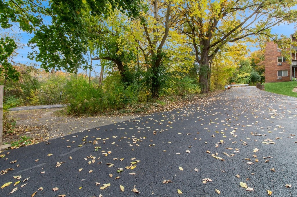 a driveway with trees and leaves on the ground at River Oaks, North Aurora, 60542
