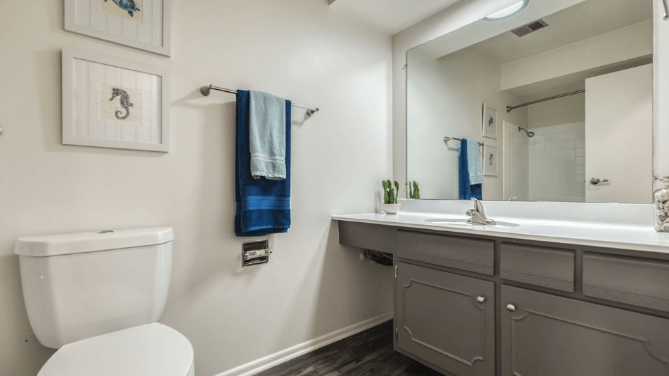 a bathroom with a toilet sink and mirror at St. Charles, St. Charles, IL