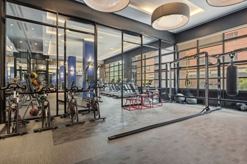 the gym is equipped with a variety of weights and exercise equipment