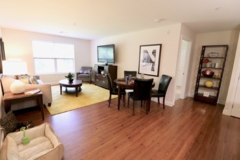 95 Filley St. 1-3 Beds Apartment for Rent - Photo Gallery 6