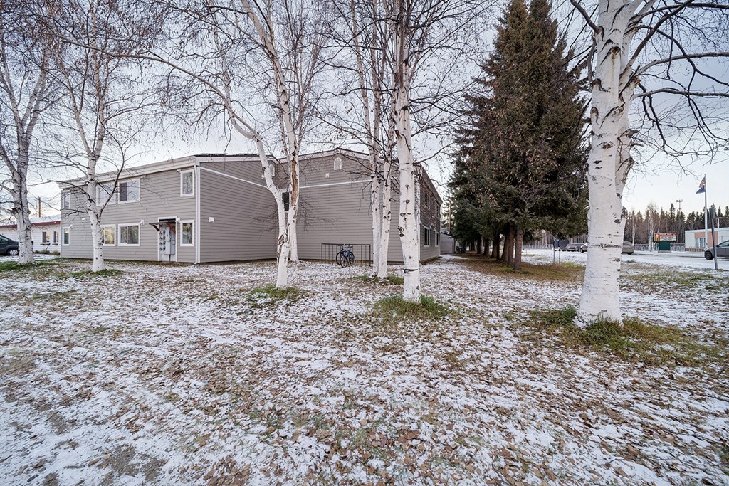 A house with a grey roof and white trees in front.
