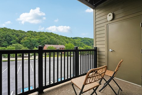 3001 Mcknight East Drive 1-2 Beds Apartment for Rent
