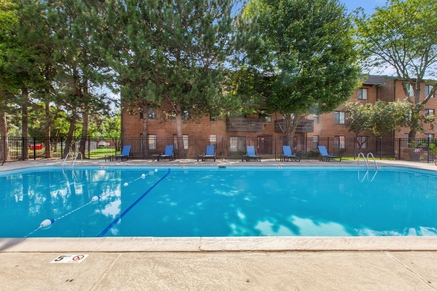 this is a photo of the swimming pool at harvard square apartments in dallas, tx