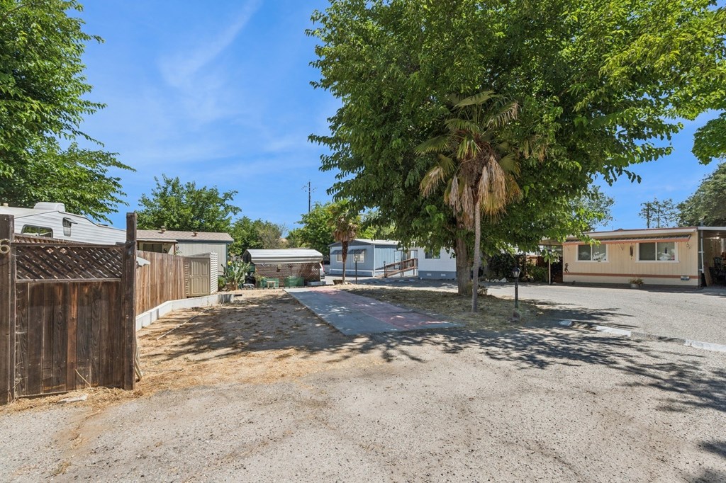 A tree in a yard with a house in the background.