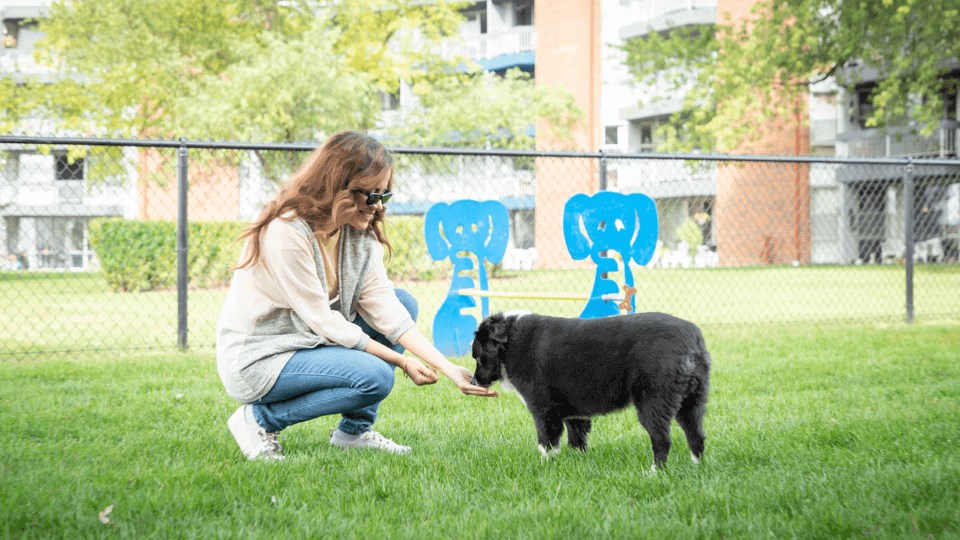 a woman kneels down to feed a small black dog at The Township at St. Charles, St. Charles, Illinois
