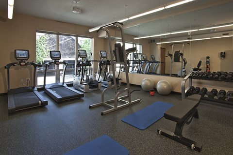 A gym with treadmills, exercise bikes, and weights.