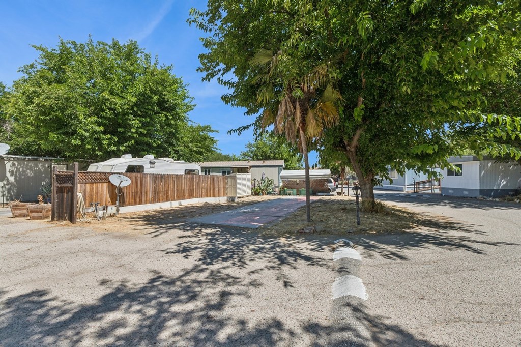 A tree in a yard with a fence and a house in the background.