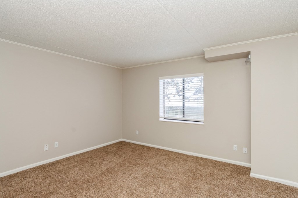A room with a window and carpeted floor.