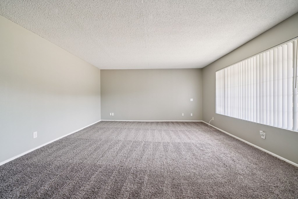 A large, empty room with carpeted floor and a window with blinds.