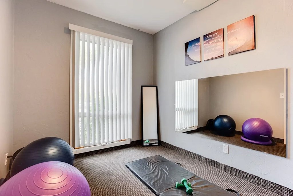 A room with exercise equipment and a mirror at Wayzata Woods Apartments, Minnesota