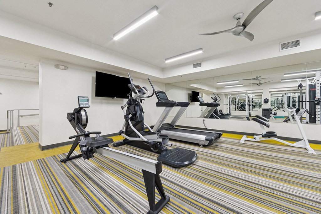 A gym with a variety of equipment including treadmills, weights, and a television.