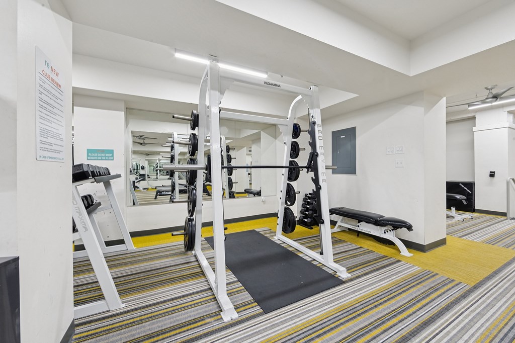 A gym with a variety of equipment including a squat rack, bench, and mirrors.
