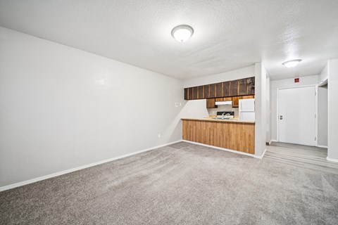 A room with a white wall and a carpeted floor.