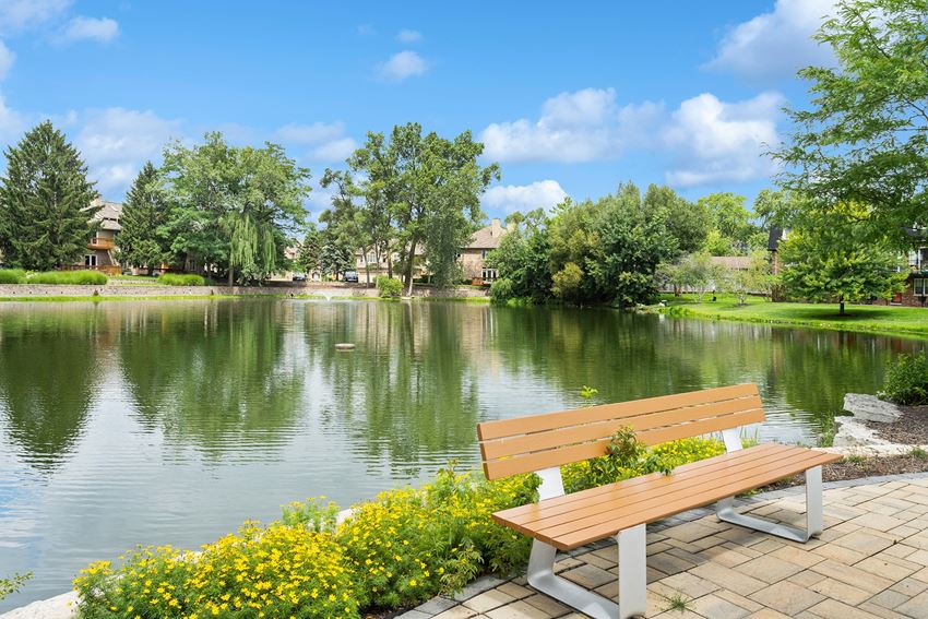 a bench overlooking a lake with houses and trees in the background