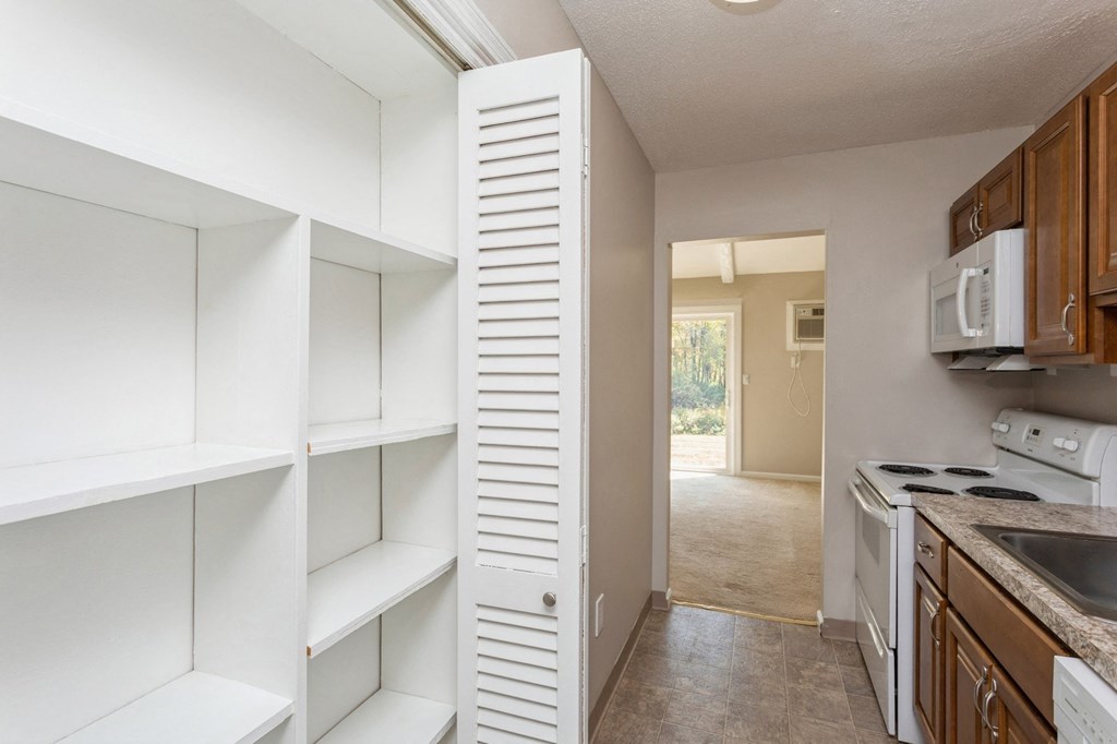 Pantry view from the kitchen