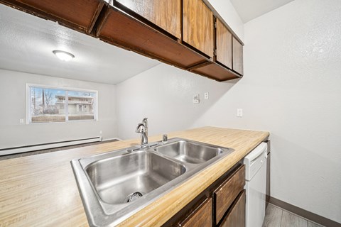 A kitchen with a sink and a dishwasher.