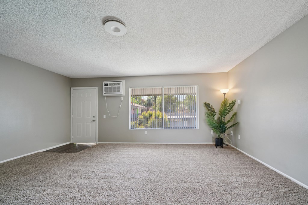 A room with a carpeted floor and a window with blinds.