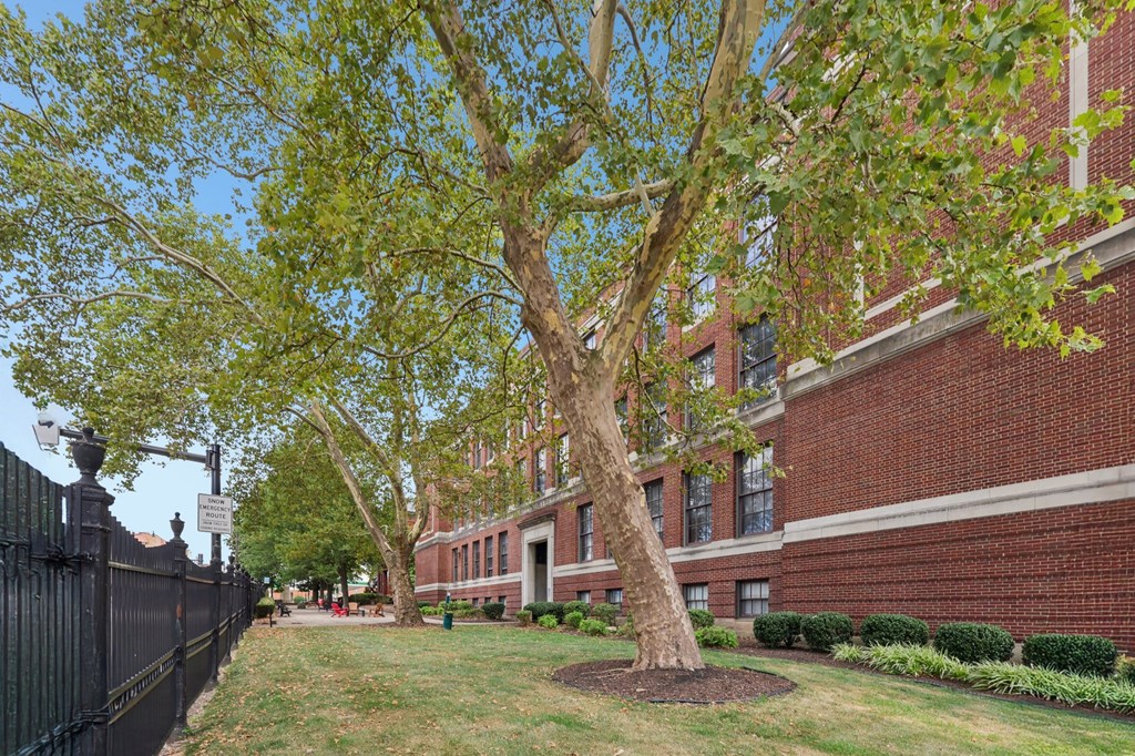 A tree in front of a brick building.