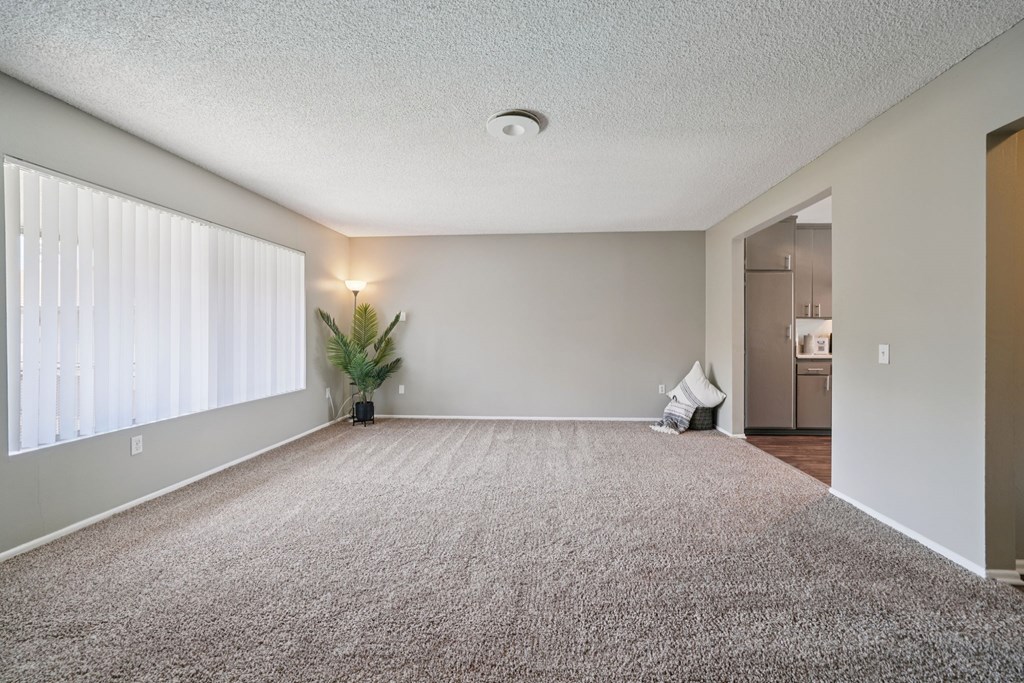 A room with a carpet, a plant, and a window with blinds.