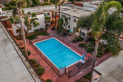 A swimming pool surrounded by a fence and palm trees.