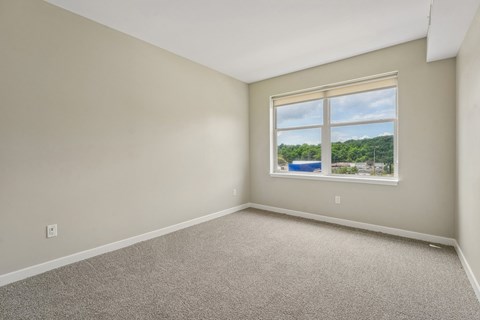 A room with a carpeted floor and a window showing a view of trees and a pool.