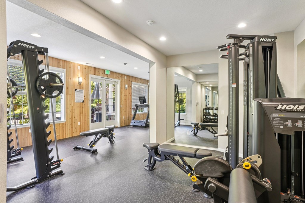 A gym with a variety of equipment including a squat rack, bench, and weights.