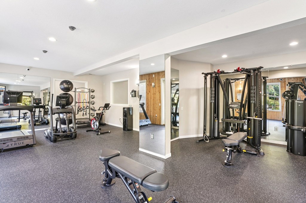 A spacious gym with a variety of equipment including a squat rack, bench, and weights.