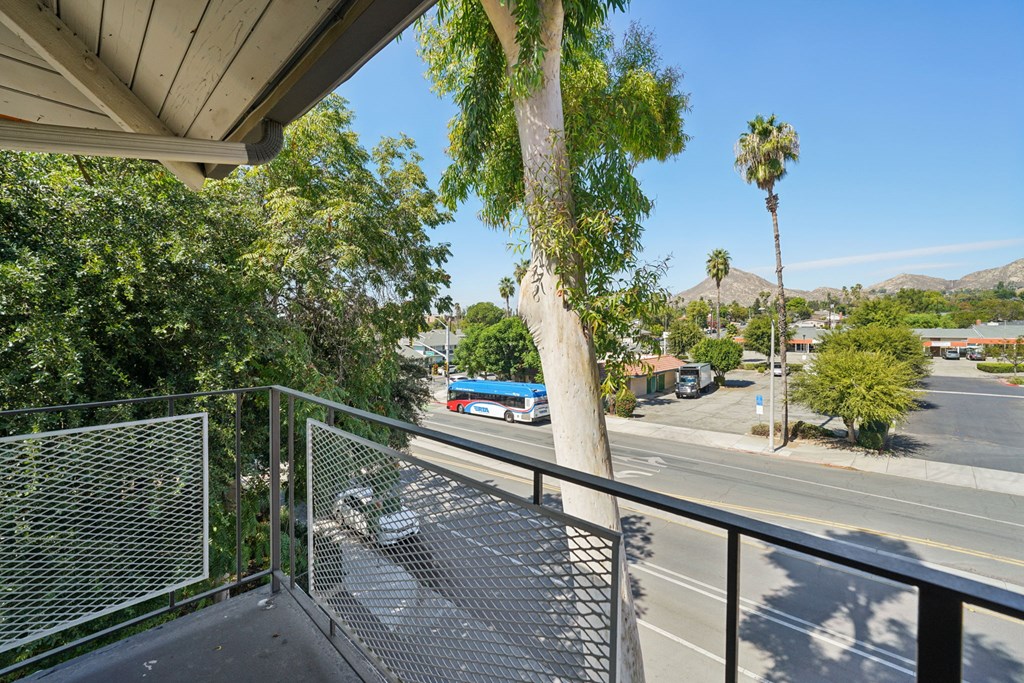 A view from a balcony overlooking a street with cars and palm trees.