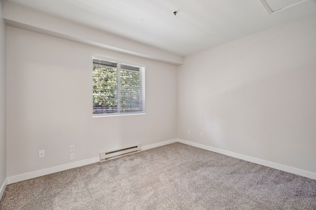 A room with a window and carpeted floor.