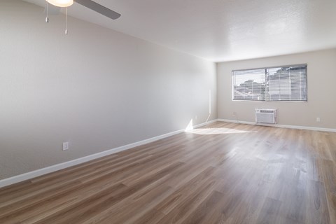 Spacious living room