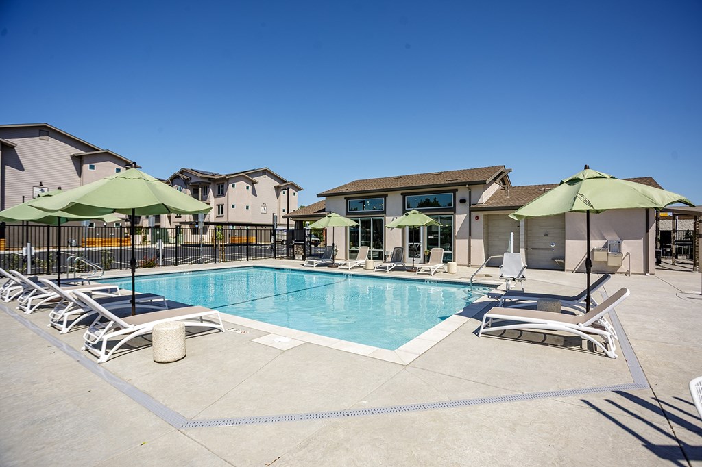 A swimming pool surrounded by sun loungers and umbrellas.