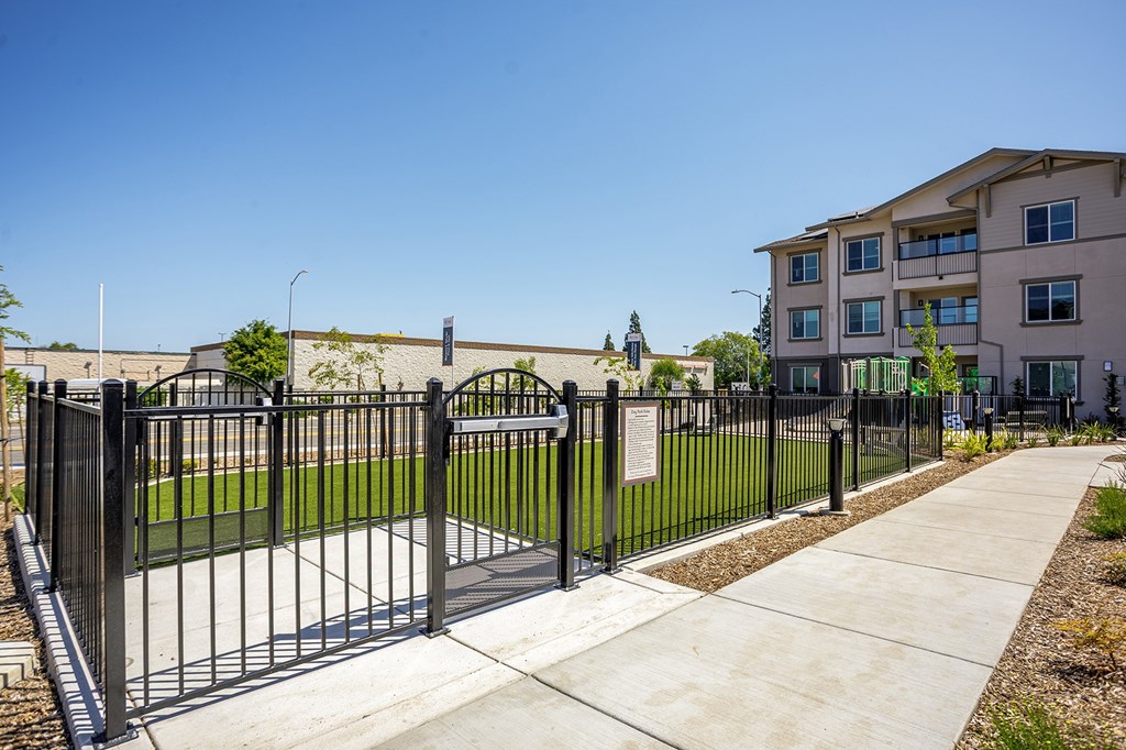 A black gate surrounding the dog park