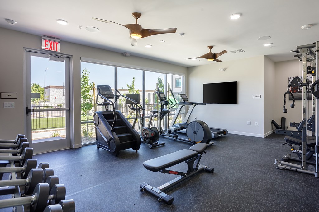 A gym with a variety of equipment including treadmills, weights, and a television.